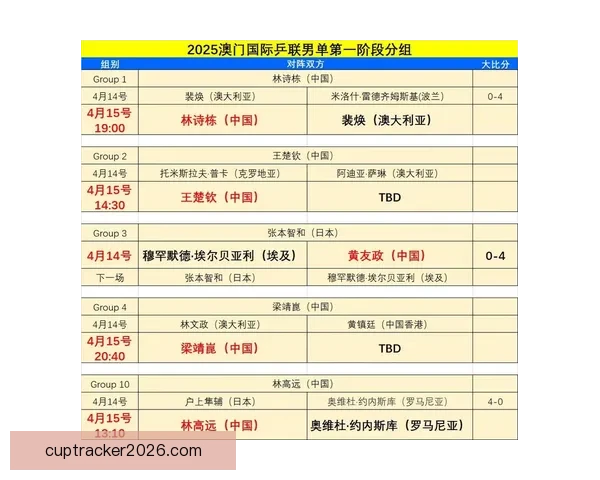 世界杯竞猜预测：深入分析热门球队表现与未来赛果趋势